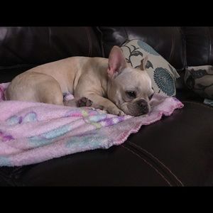 Meet your Posher, Amy